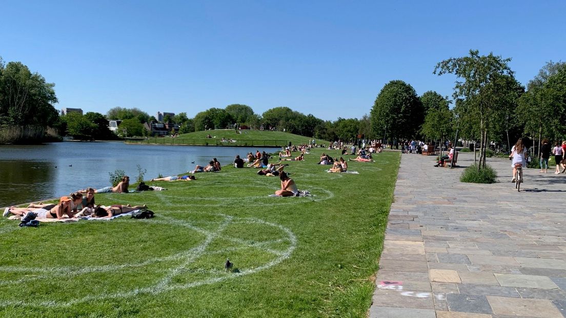 Zonaanbidders in het Utrechtse Griftpark