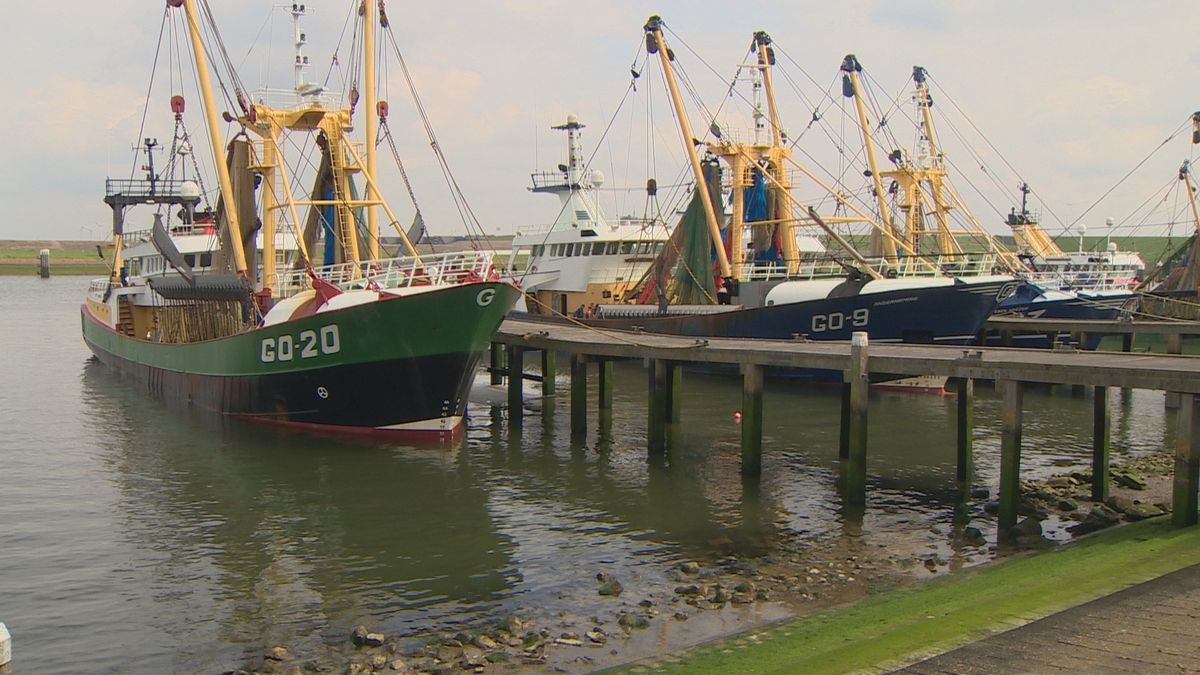 Havenbedrijf blijft het Slijkgat Stellendam toch baggeren