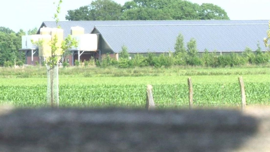 Voorbeeld van een megastal