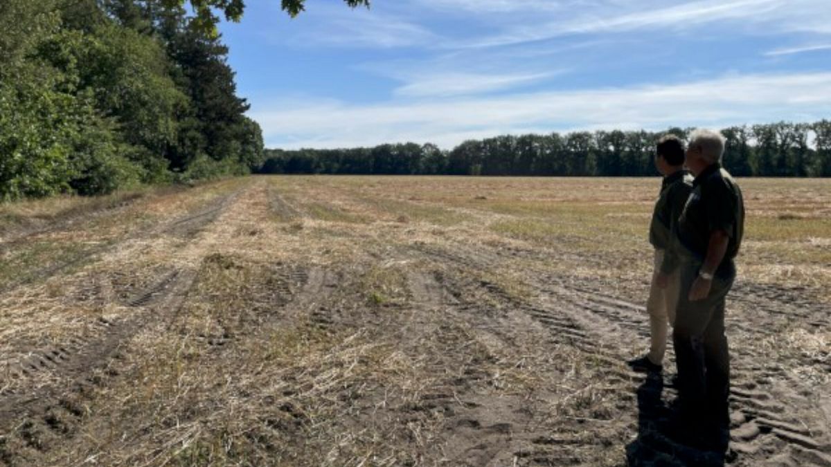 Geen natuurbegraafplaats bij Nieuw-Balinge: plan ingetrokken