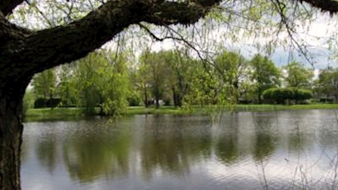 Vijver in woonwijk De Dante