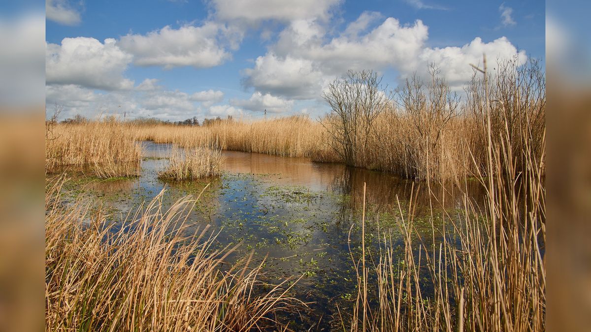 Museumdorp Aldfaers Erf viert 40-jarig jubileum