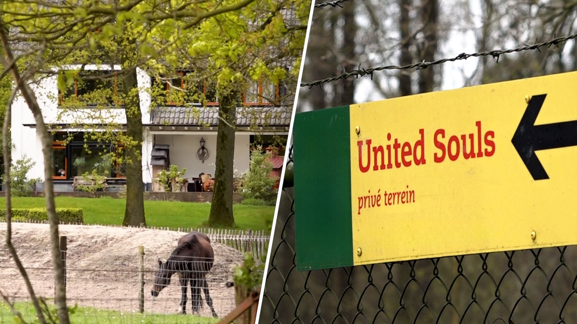 Onjuiste diploma's en onterechte declaraties: zorgboerderij moet 145.000 euro terugbetalen