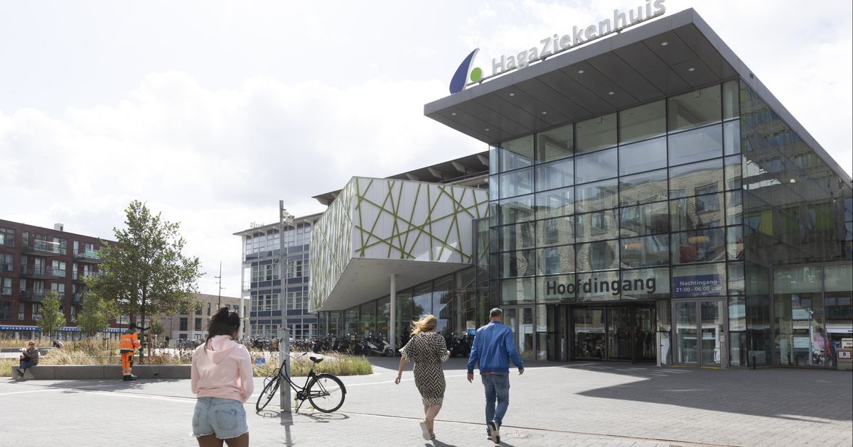 Hospital Fights & Assault: Staff Abuse Reported in Netherlands
