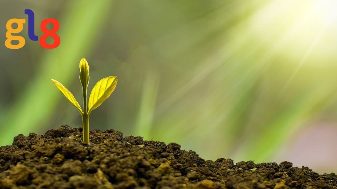 Aanplanten bomen