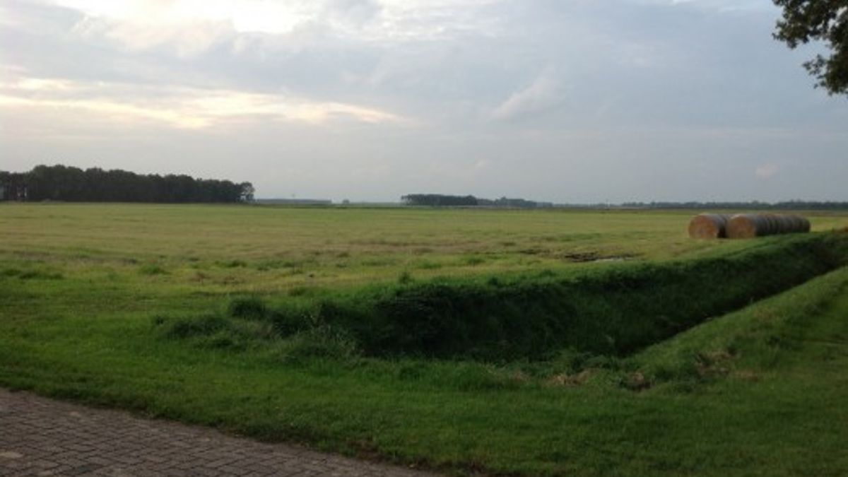 Natuurgebied Oude Weer mogelijk locatie ijsbaan Gasselternijveen RTV Drenthe