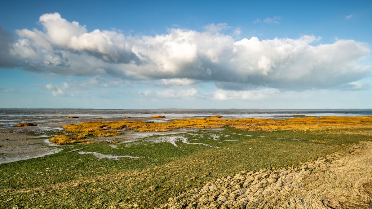 Provincie overvallen door bezuiniging op Nationaal Park Oosterschelde: 'Dit moet van tafel!'