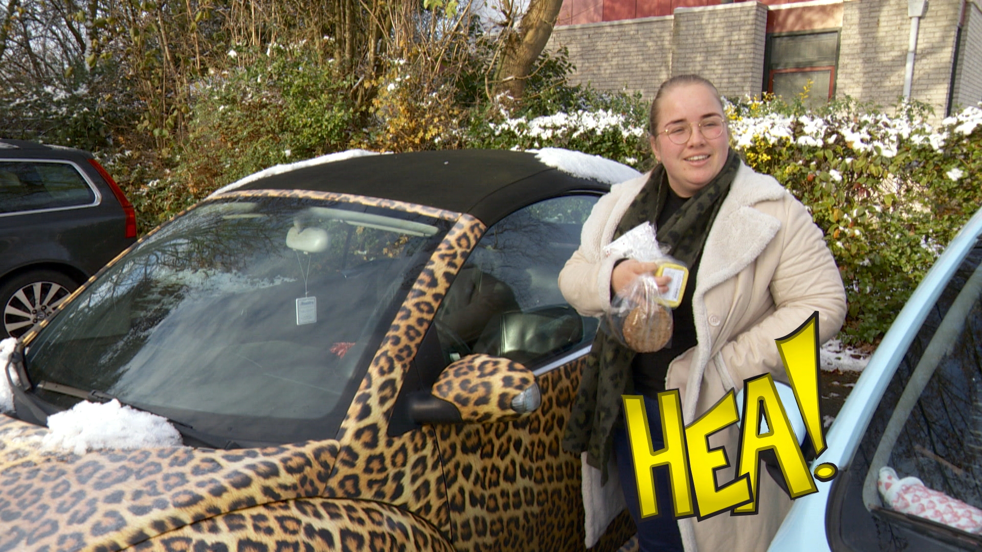 HEA! De wylde auto fan Alie