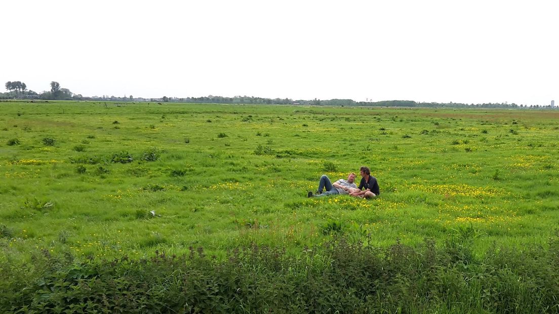 BuitenGewoon, Harm zwerft door Gelderland in de Arkemheen Polder