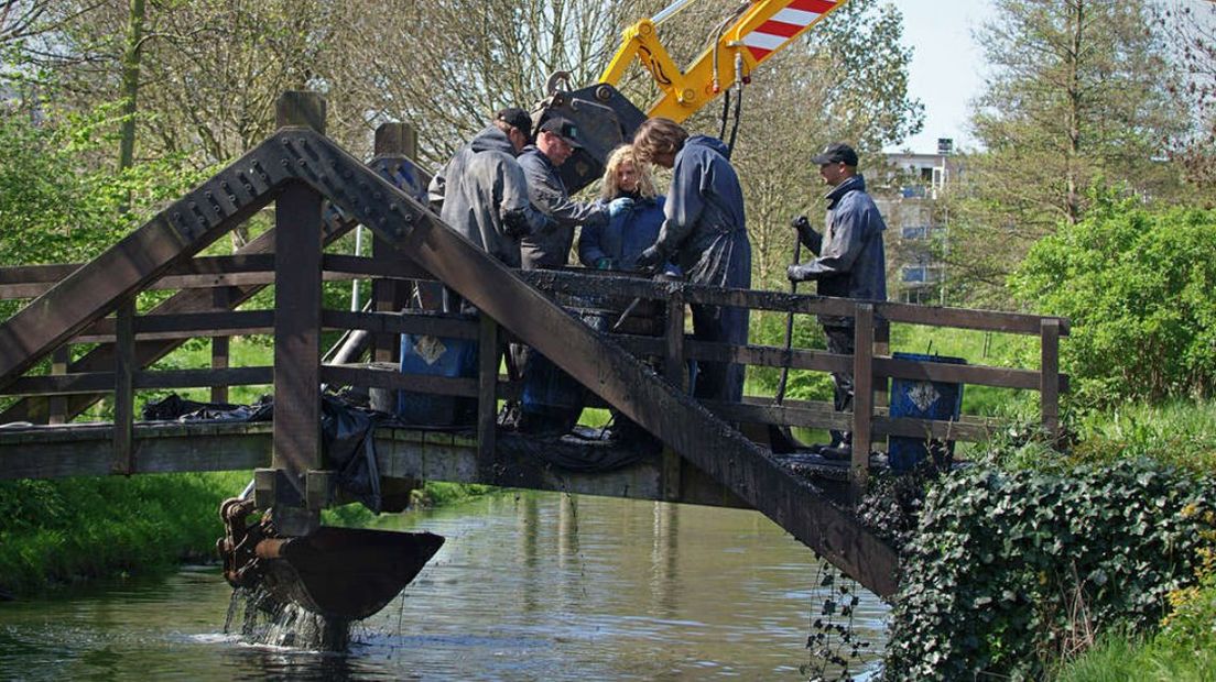 Forensisch rechercheurs zoeken naar stoffelijke resten