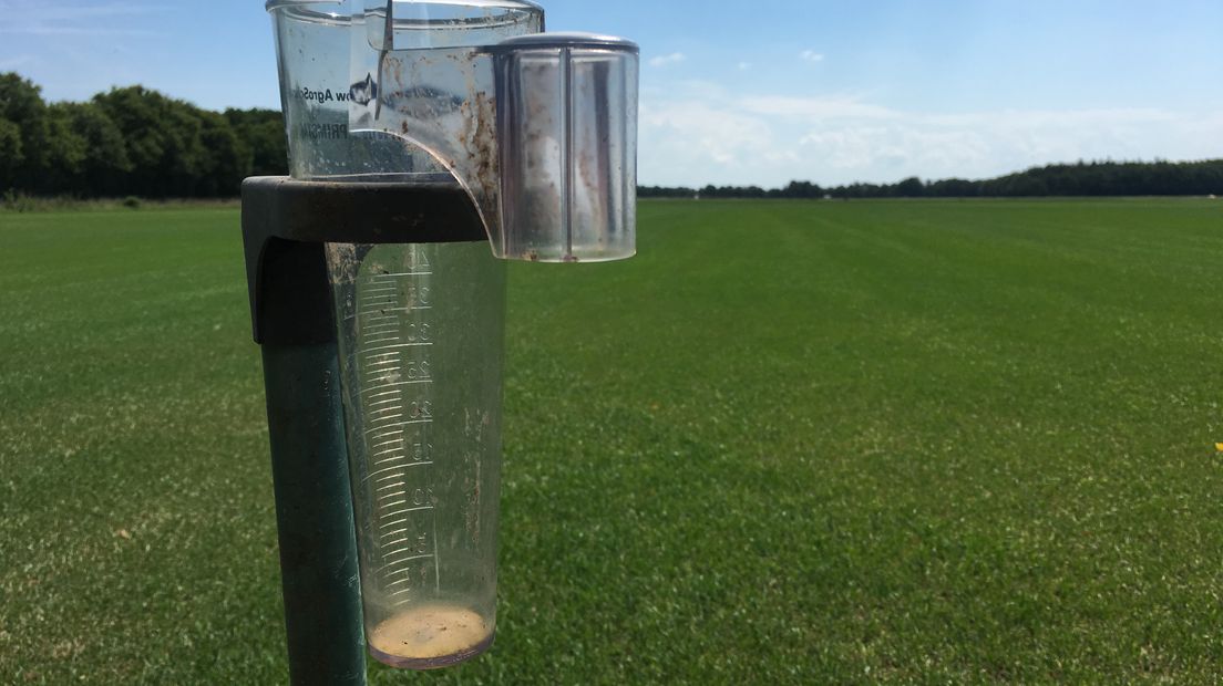 Nog geen druppel regen heeft Queens Grass de afgelopen tijd zien vallen.
(Rechten: RTV Drenthe/Marjolein Lauret)