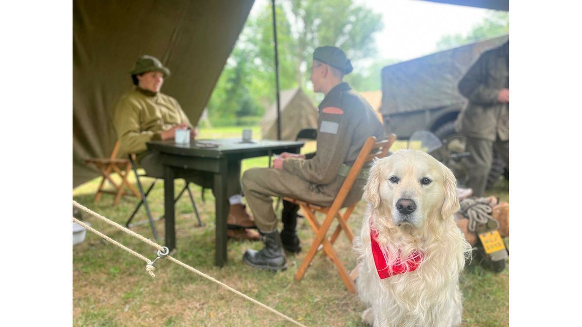 Met militaire voertuigen en tientallen soldaten willen ze in Groede de geschiedenis levend houden