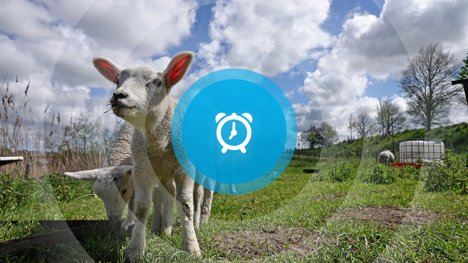 Goedemorgen! Flex-vervoer door heel Zeeland, muurschildering Lodewijk College en fototentoonstelling in Middelburg