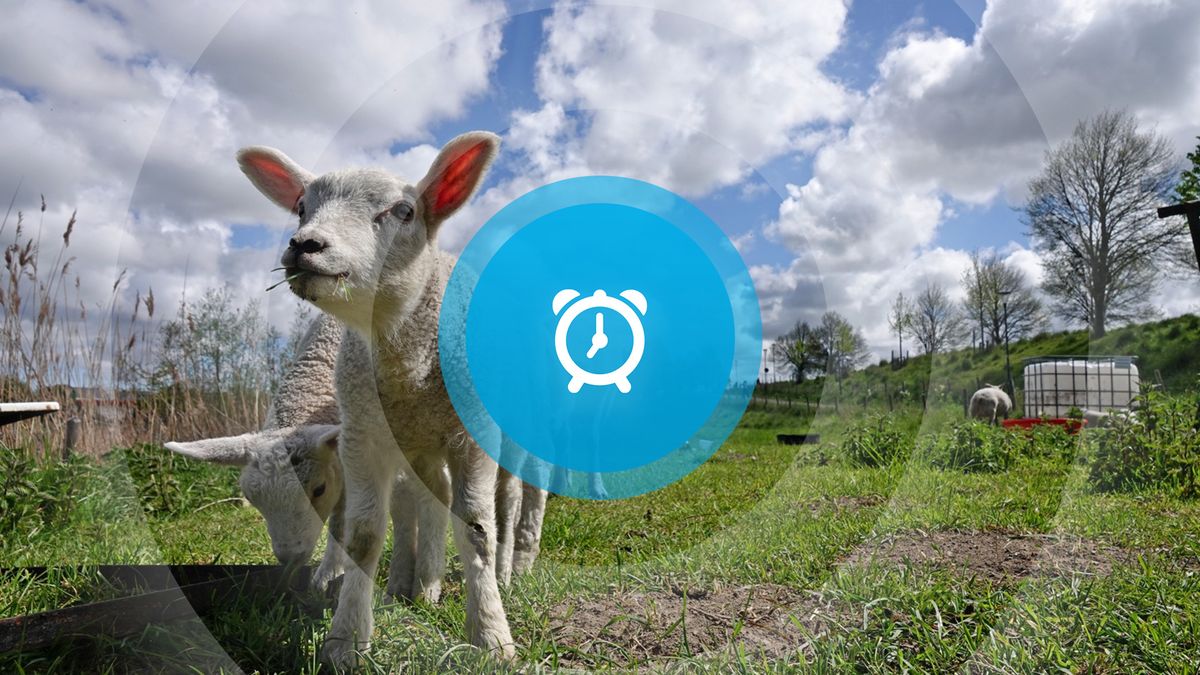 Goedemorgen! Flex-vervoer door heel Zeeland, muurschildering Lodewijk College en fototentoonstelling