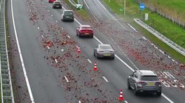 112-nieuws vrijdag 22 maart: Bloempotten op de weg zorgen voor file • Busje zit klem onder viaduct
