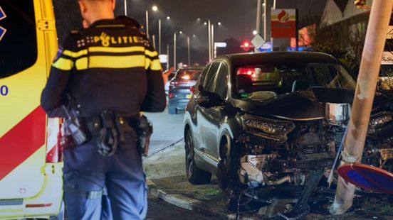 Automobilist gereanimeerd na ongeluk | Kat overlijdt aan gevolg van een vlooienplaag.