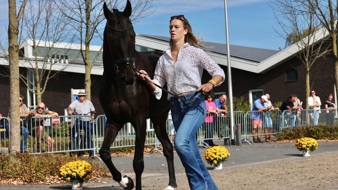 Sterre van Houte uit Deurningen met haar paard Crossborder Radar Love.
