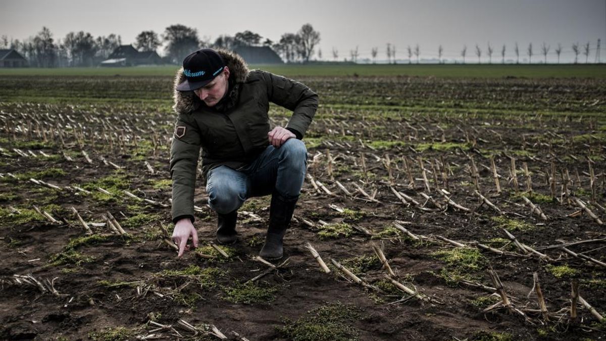 Ermelo verliest na 21 jaar record eerste kievitsei