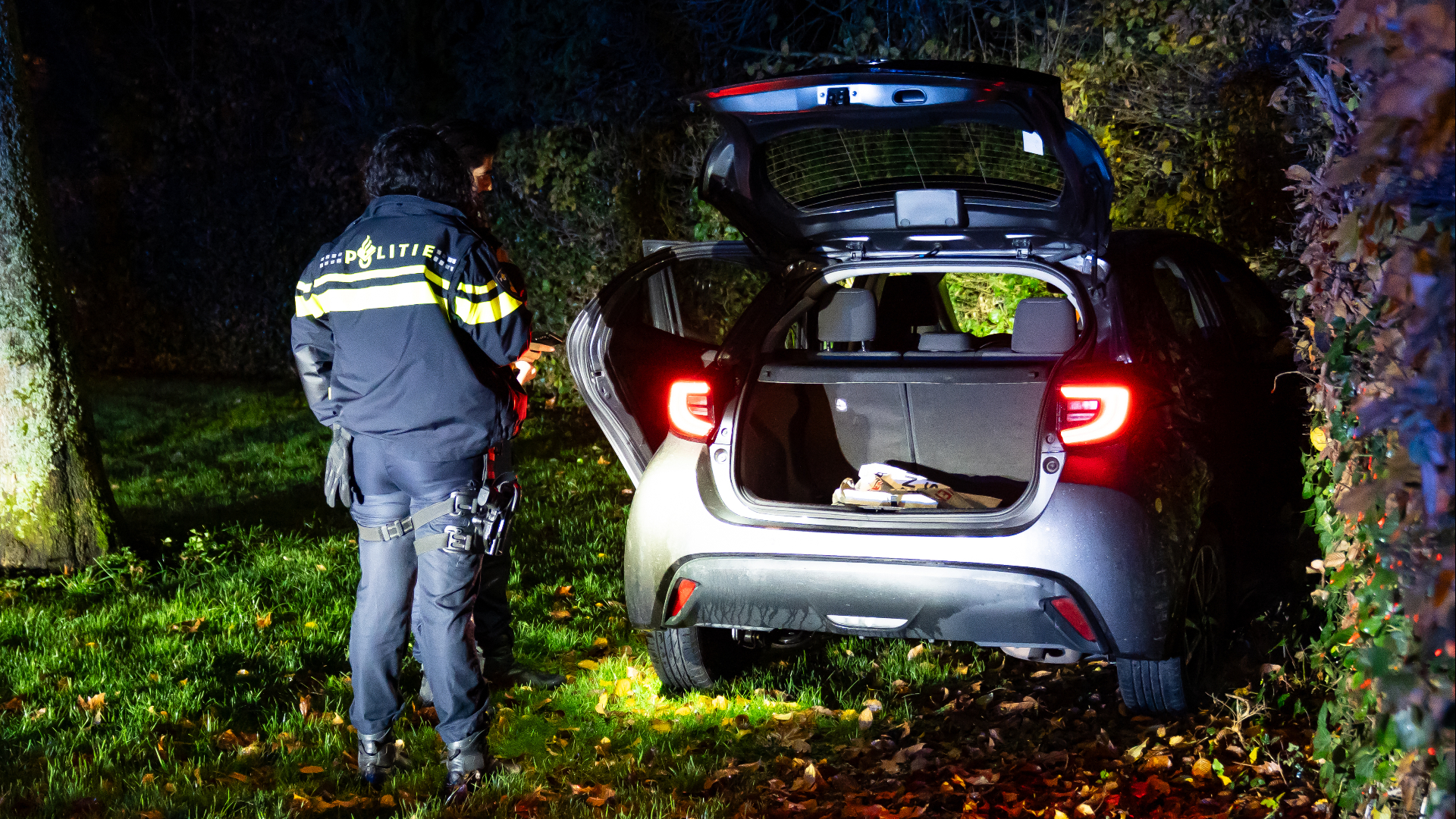 De achtervolging eindigde nadat de gevluchte auto in een heg belandde