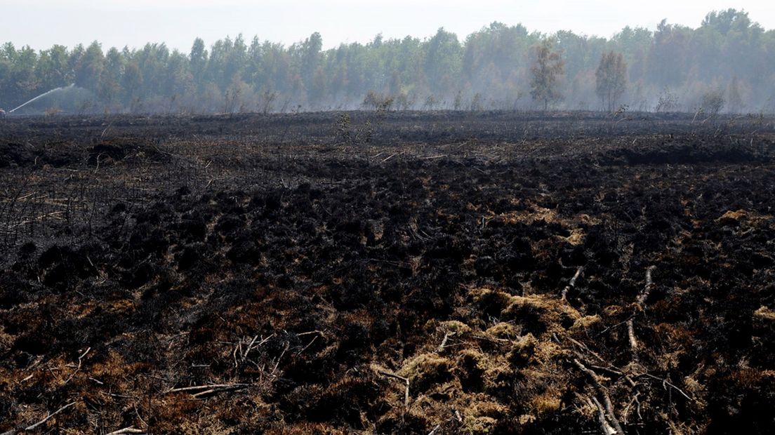 Brand Aamsveen