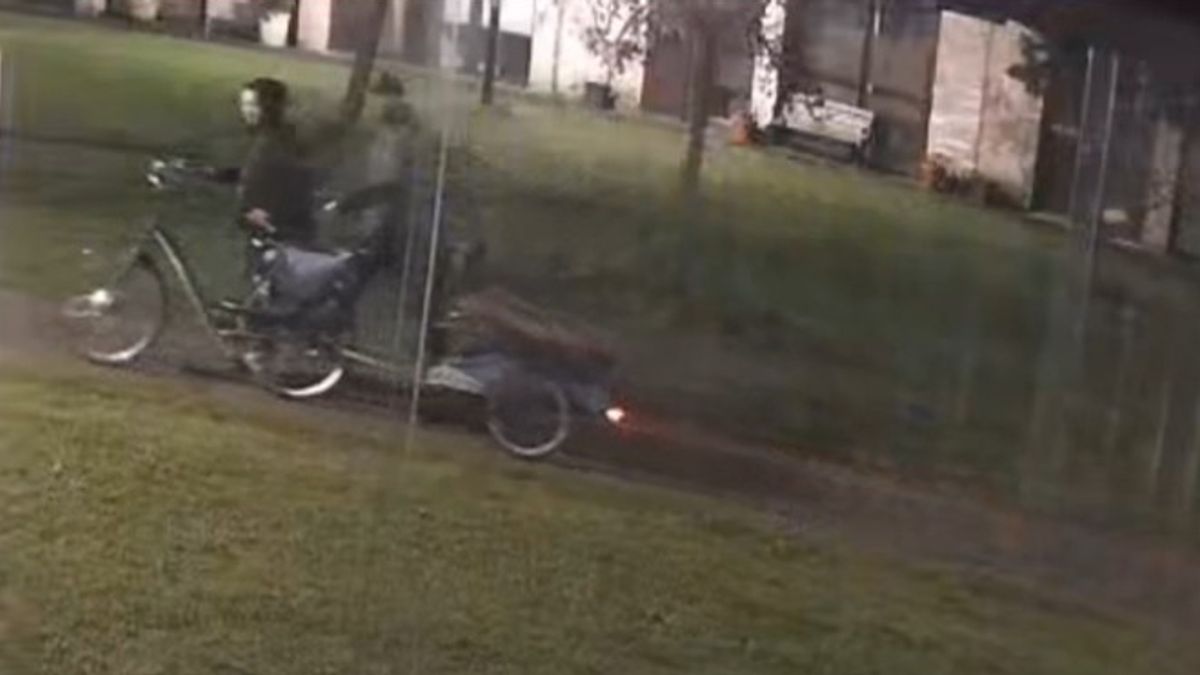 Duister duo scharrelt tuinset bij elkaar in tuinen Zwolse wijk Holtenbroek