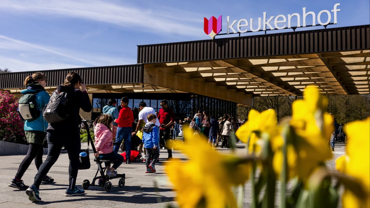 Klachten over foutparkeerders Keukenhof: gemeente legt boomstammen in berm
