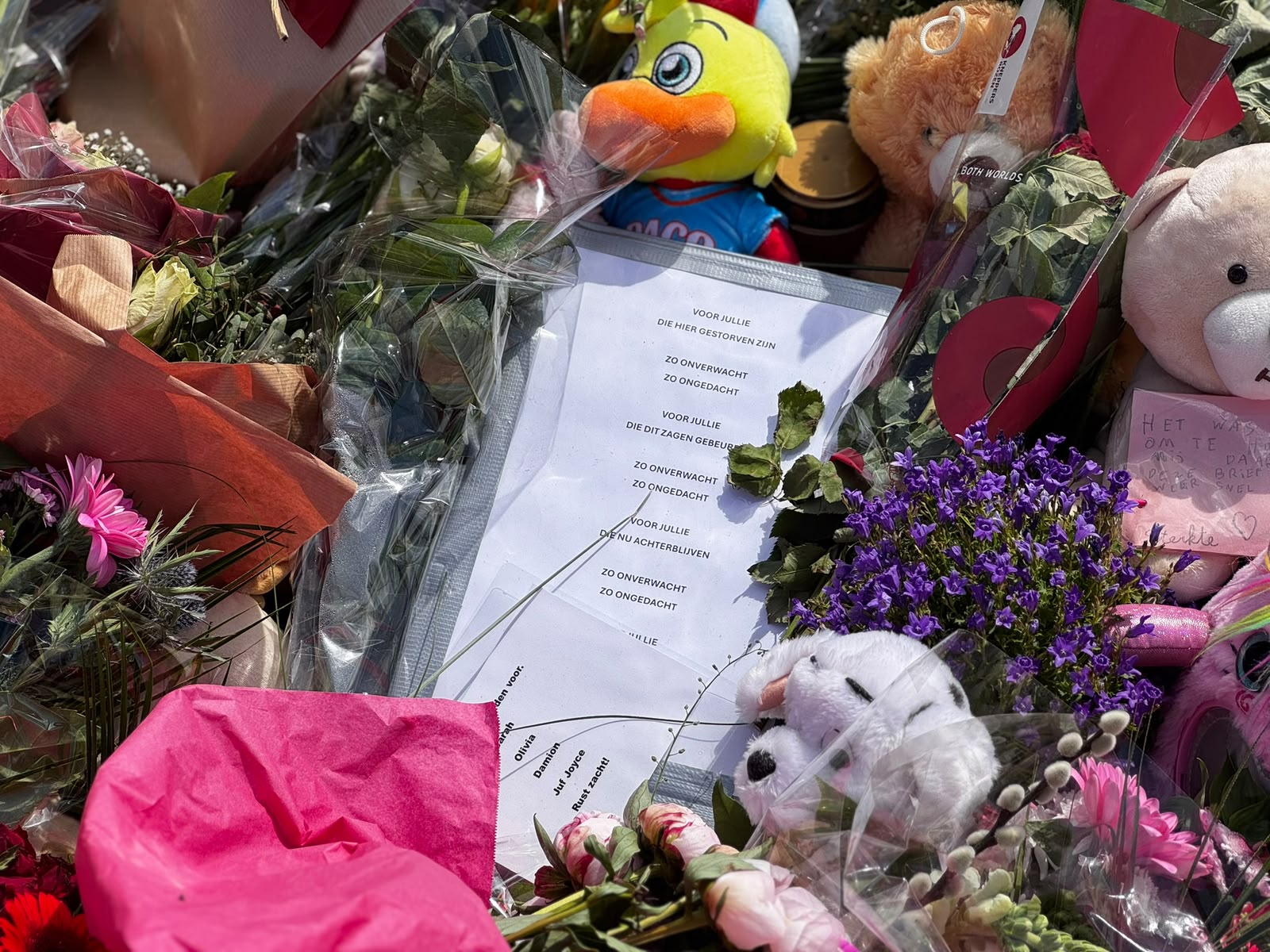 Waarom kon de verdachte van het dodelijke ongeval in Terhole na zoveel verkeersovertredingen nog autorijden?