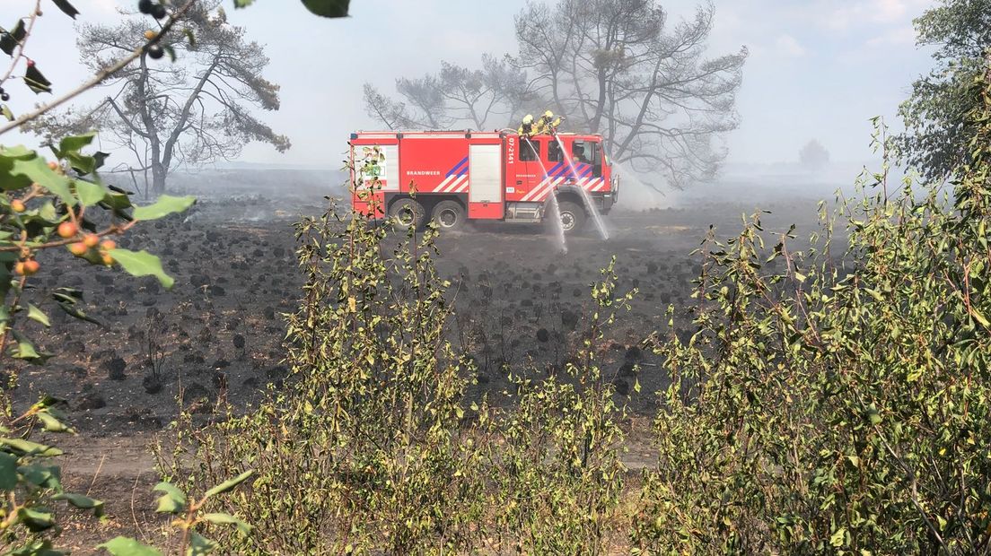 Een grote brand heeft in Nationaal Park De Hoge Veluwe bij Otterlo zo'n 4 hectare heide verwoest. Meerdere brandweerwagens bestreden het vuur, dat inmiddels onder controle is. Boeren helpen mee bij het nablussen. Lees hieronder ons liveblog terug.