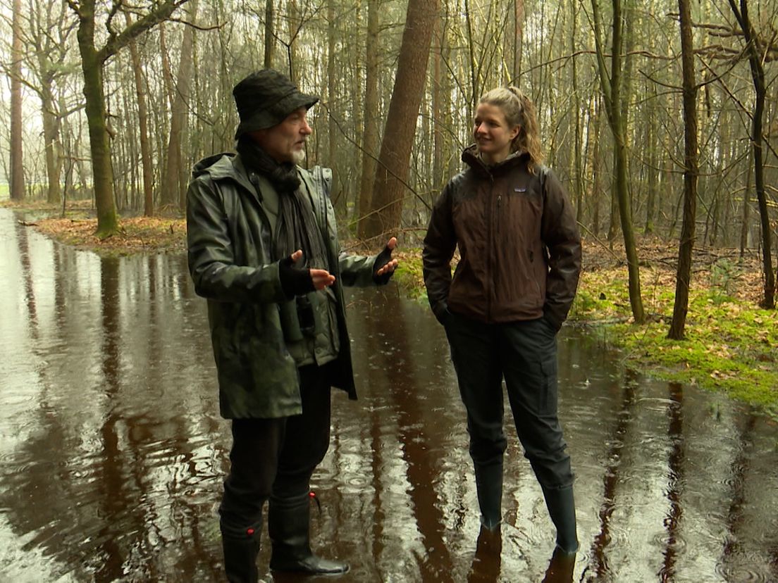 Hoe gaat het met ons bos? Dat zie je in een nieuwe aflevering van Natuurlijk Zoëy