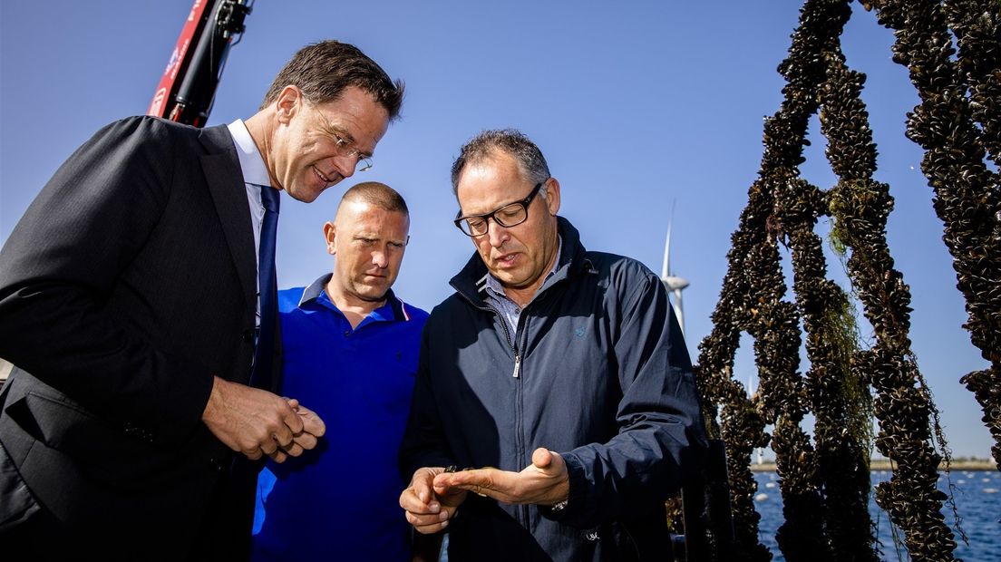 Premier Mark Rutte bij het mosseldok van de viskwekerij Neeltje Jans