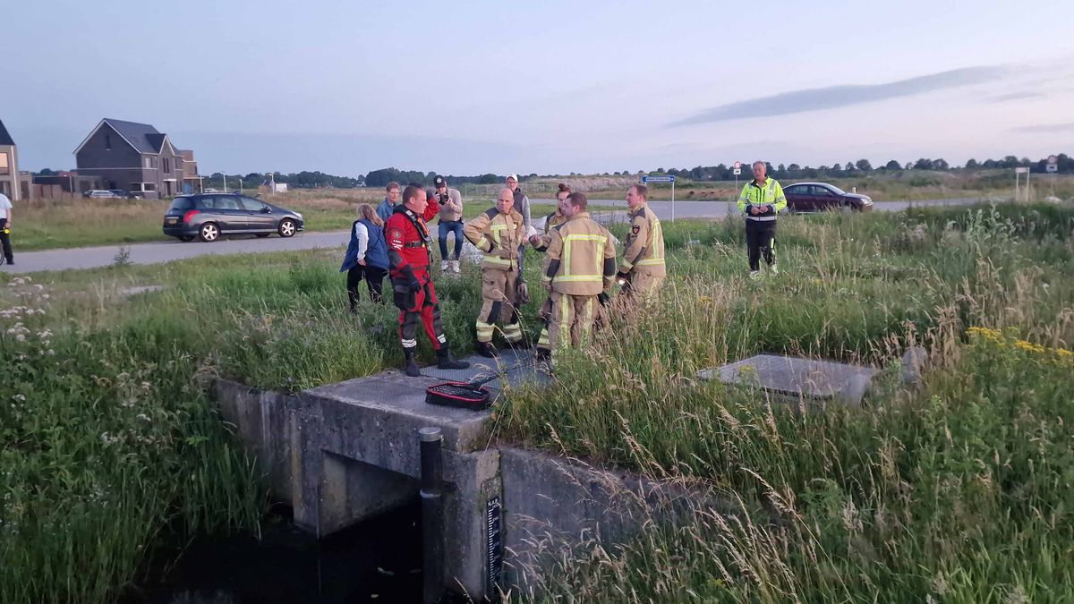 Brandweer bevrijdt jonge eendjes in Kloosterveen