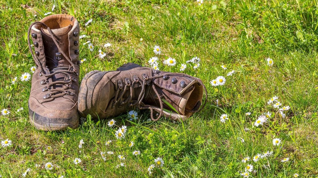 Het Wandelfestival in Zwolle op zaterdag 23 juni