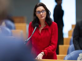 'Dubbele gevoelens' bij aangenomen Groningenwet: 'Had nog scherper gekund'