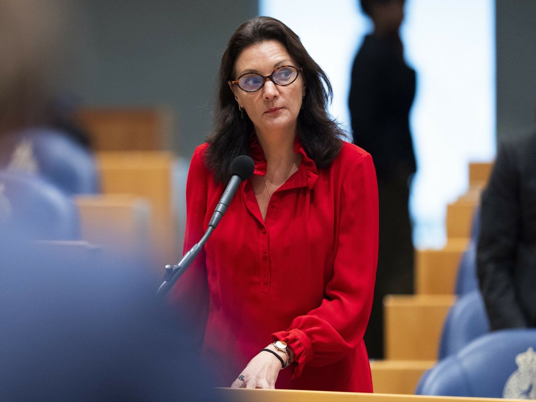 'Dubbele gevoelens' bij aangenomen Groningenwet: 'Had nog scherper gekund'