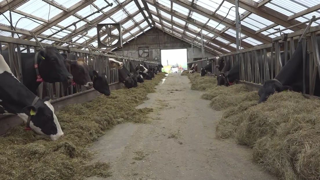 In de provincie Groningen moet de uitstoot van stikstof in sommige gebieden met 47 procent procent omlaag