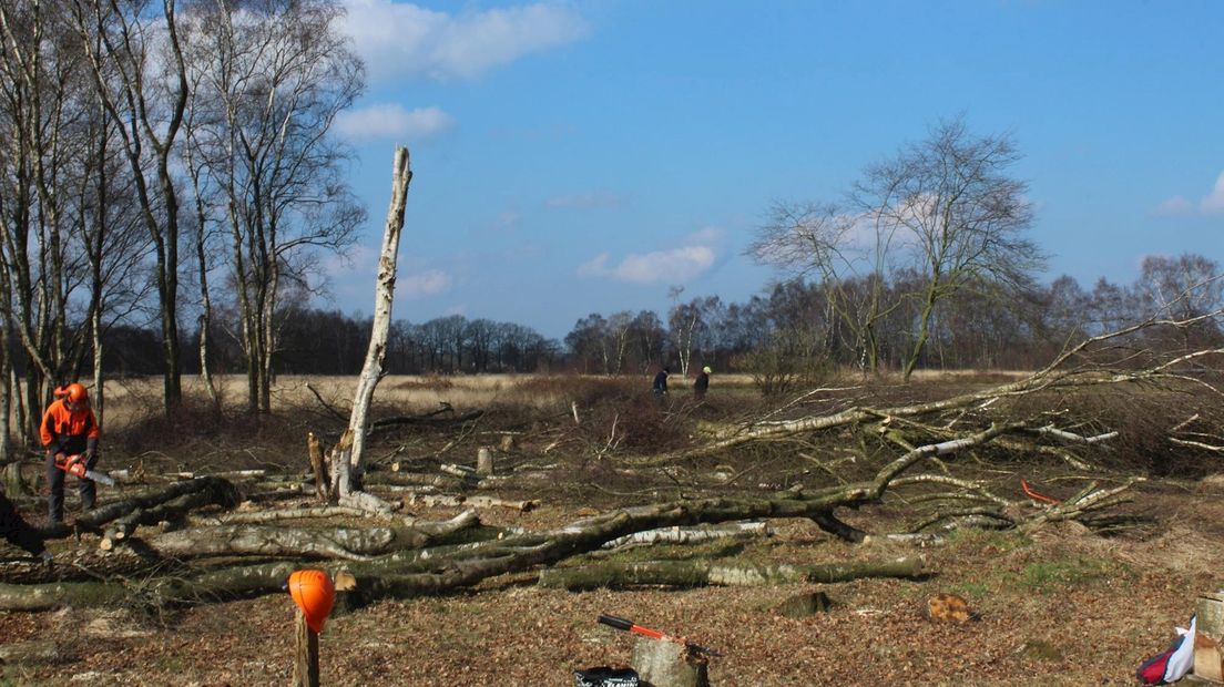 Vrijwilligers hebben stukje Wierdense Veld 'broedklaar gemaakt'