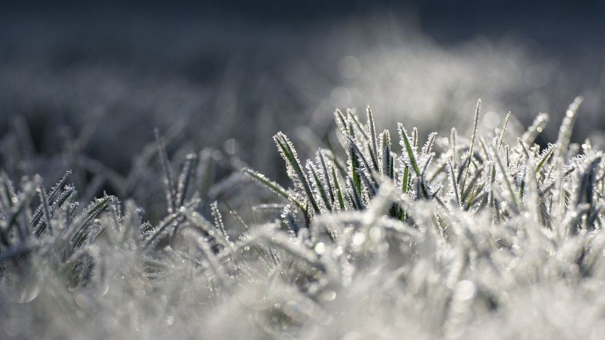 Handschoenen aan: het gaat ook komende nacht vriezen - Omroep Gelderland