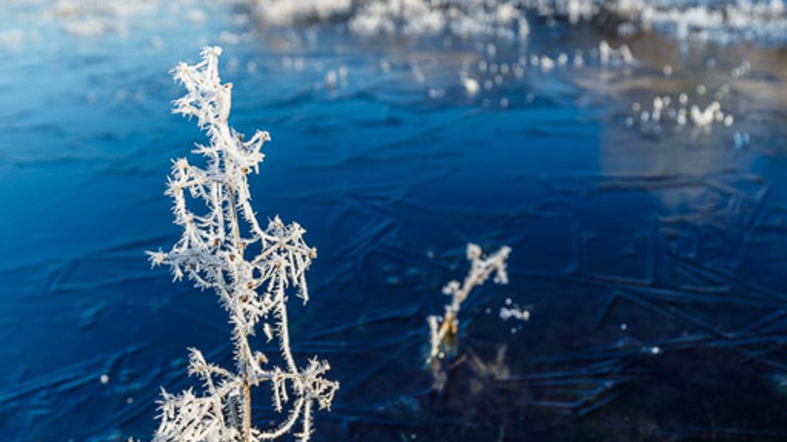 Terwijl inmiddels de eerste sneeuw van 2017 is gevallen en ik om mij heen kijk naar een betoverende witte wereld denk ik weer terug aan de twee magische momenten die ik eind 2016 heb ervaren op de Empese en Tondense heide.