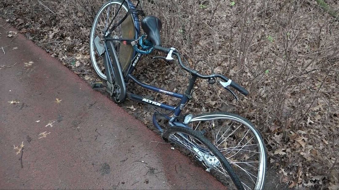 De storm veroorzaakte veel problemen in Gelderland. Het treinverkeer ligt nog steeds plat, NS adviseert om een alternatieve reismethode te zoeken.