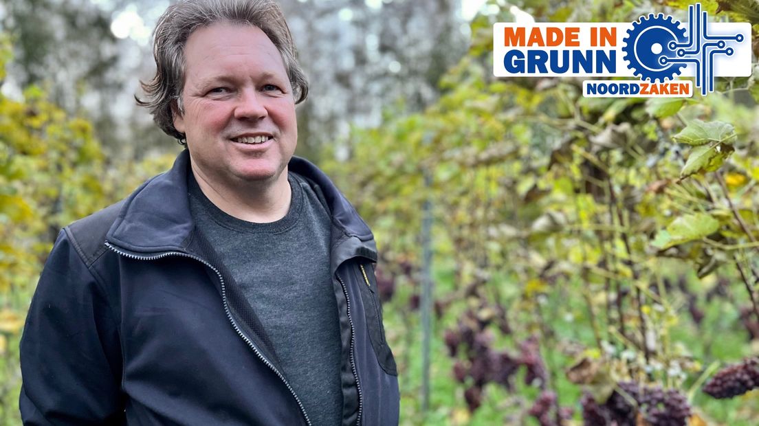 Simon Somers in de wijngaard