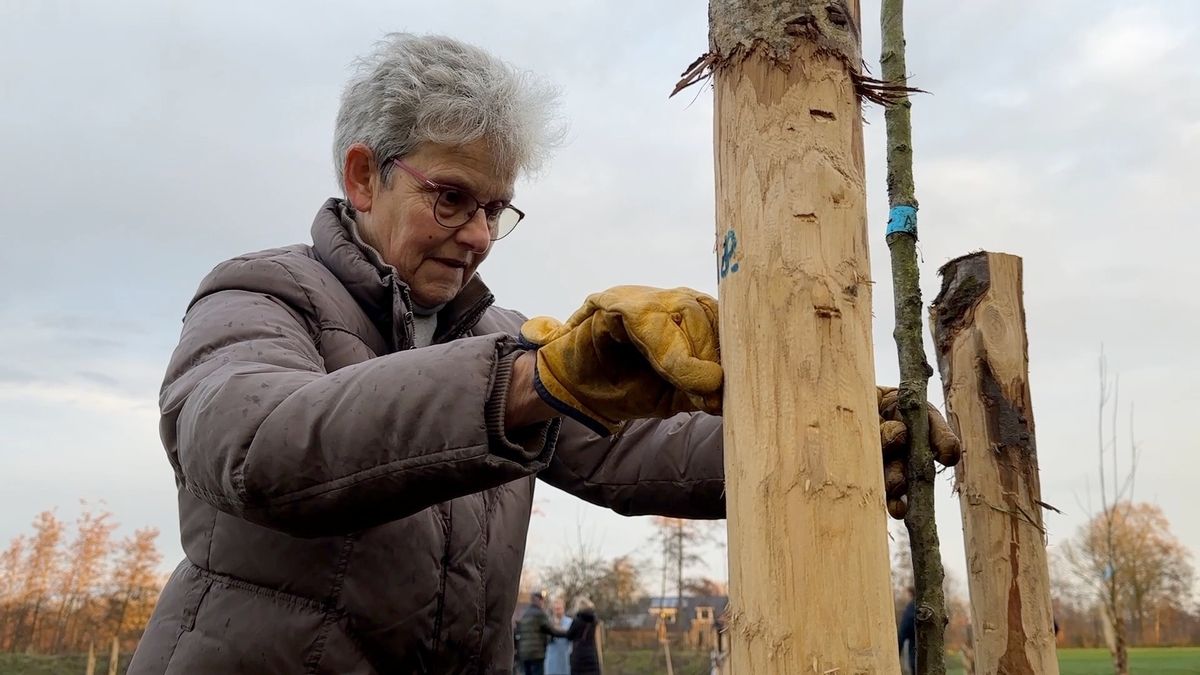 Eigen bos moet inwoners van Eastermar in de toekomst voorzien van fruit