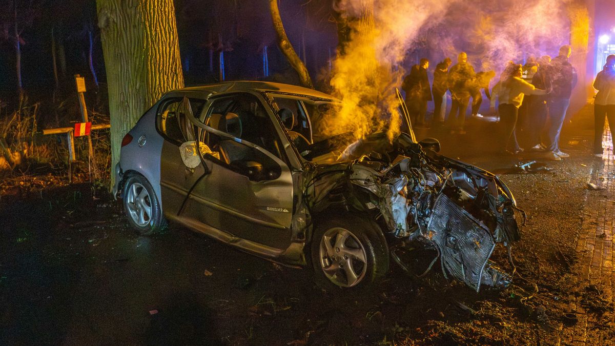 KNMI waarschuwt met code geel voor dichte mist tot in de middag | Auto gaat in vlammen op in Wolvega