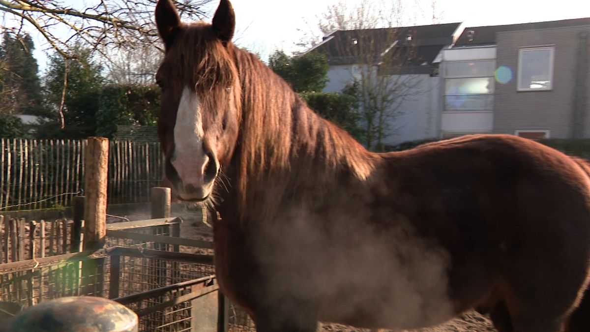 Óngerwaeg is bezig met groene pk's in Cadier en Keer