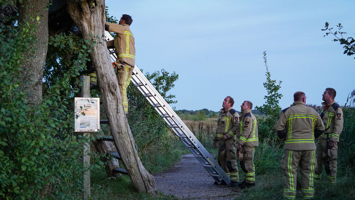 Brandweer schiet boomklimmende vrouw te hulp in De Onlanden