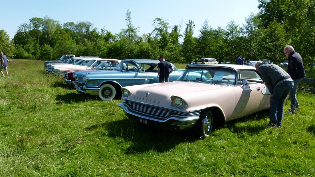 De oldtimers op het gras