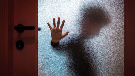 Jarenlange celstraf geëist voor seksueel misbruik jong meisje Home