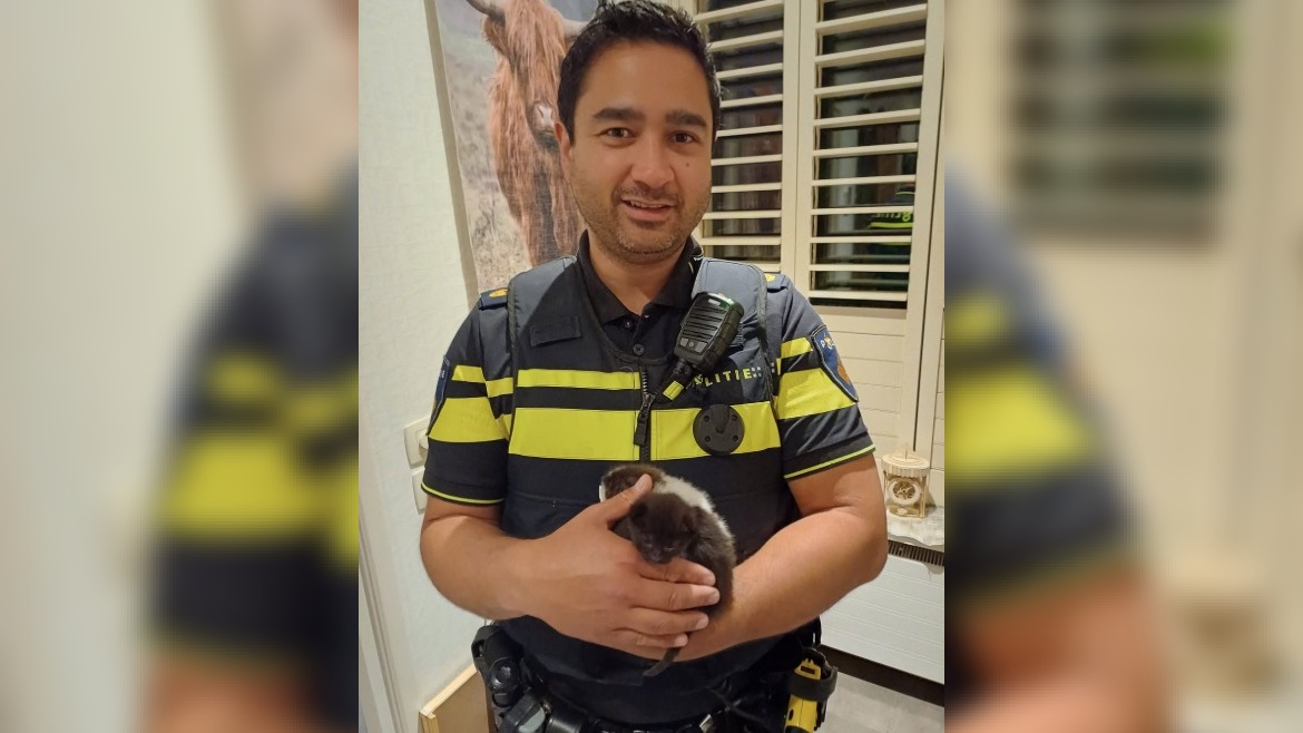 Kittendumper moet na heterdaadje nacht de cel in, agenten brengen weesjes naar opvang