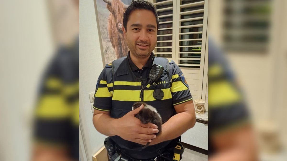 Kittendumper moet na heterdaadje nacht de cel in, agenten brengen weesjes naar opvang