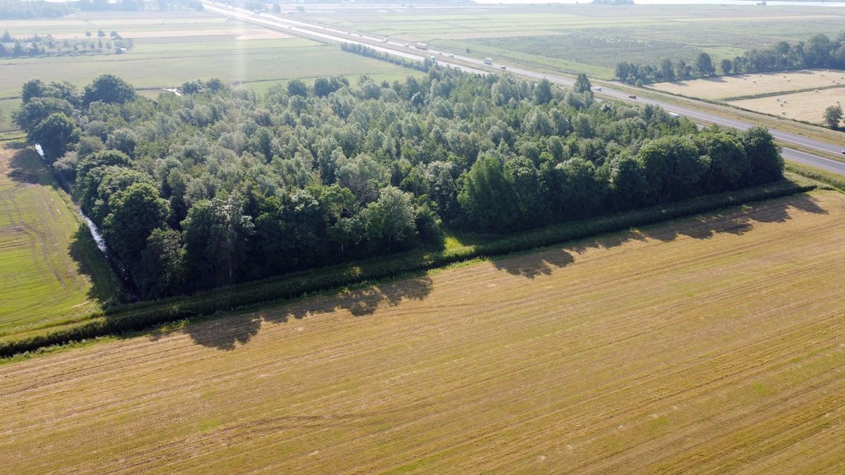 Blijdschap over zonnepark Oostwold: 'Nu hebben we iets tastbaars in handen'