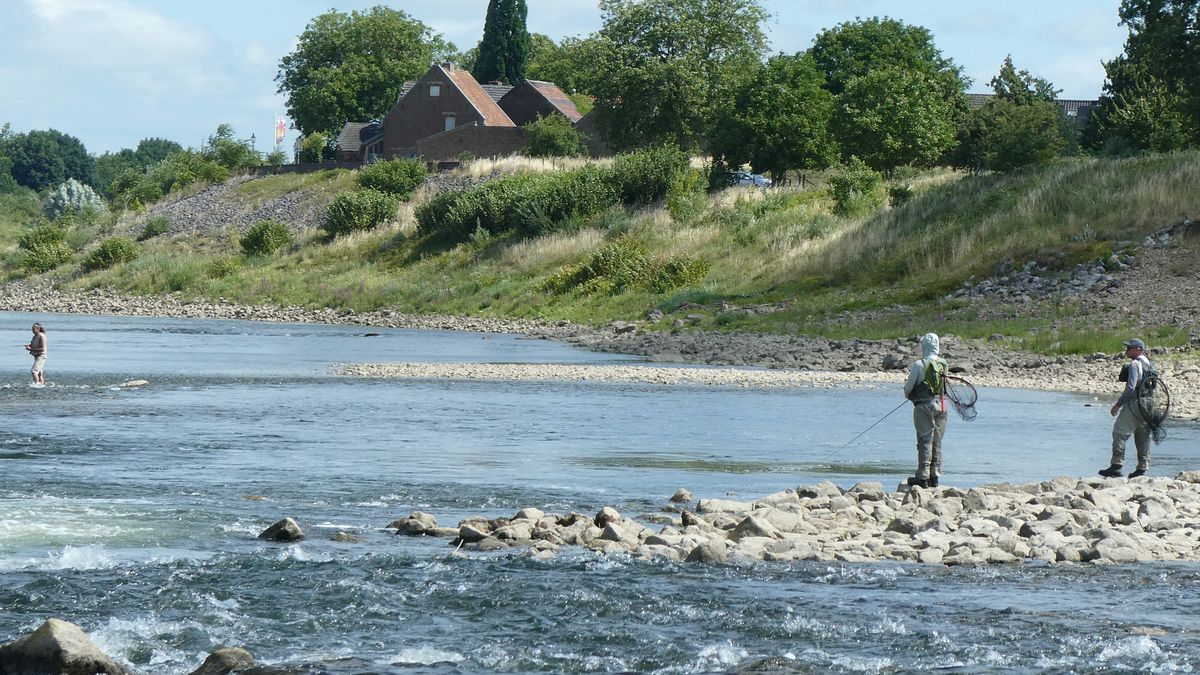 Limburg Kiekt: Tegelen, Melick, Kunrade en...